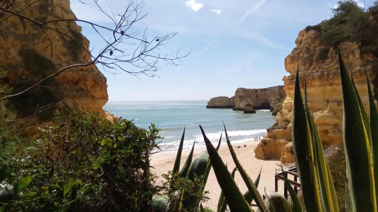 Albufeira Prime Apartment Экстерьер фото